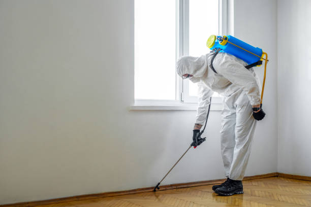 Best Affordable Pest Control Services  in Joseph, OR