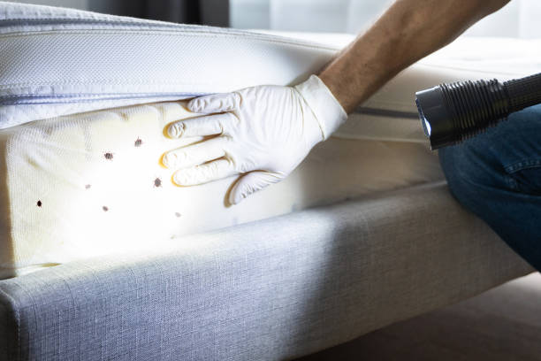 Best Pest Removal Services  in Joseph, OR