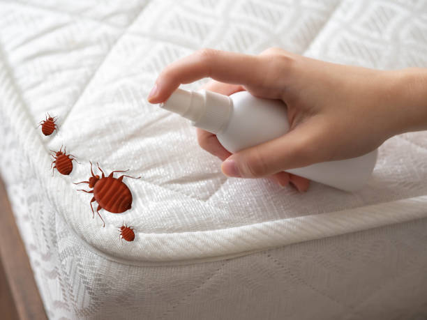 Best Exterminator Services  in Joseph, OR